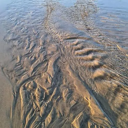 Maison Cachee - Et En Baie De Somme 아파트 얼트